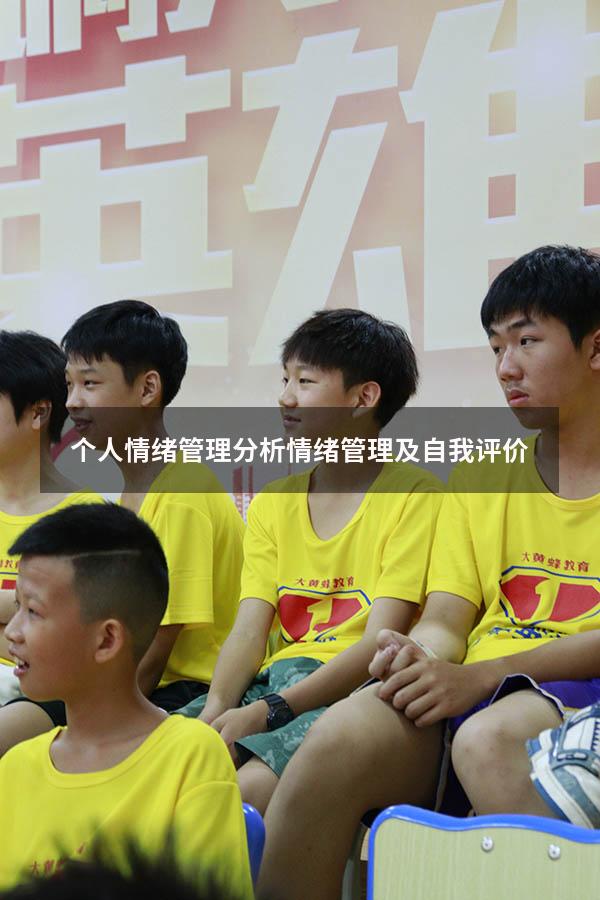 个人情绪管理分析（情绪管理及自我评价）