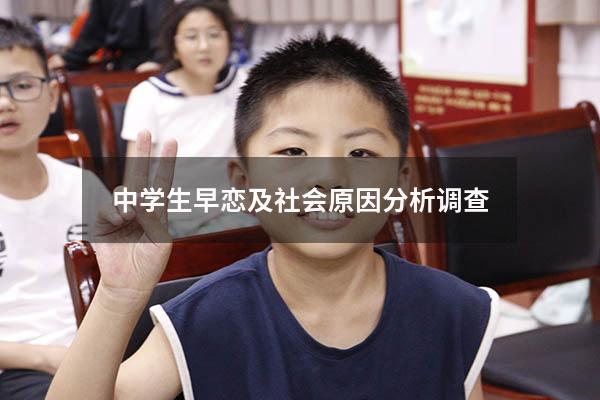 中学生早恋及社会原因分析调查