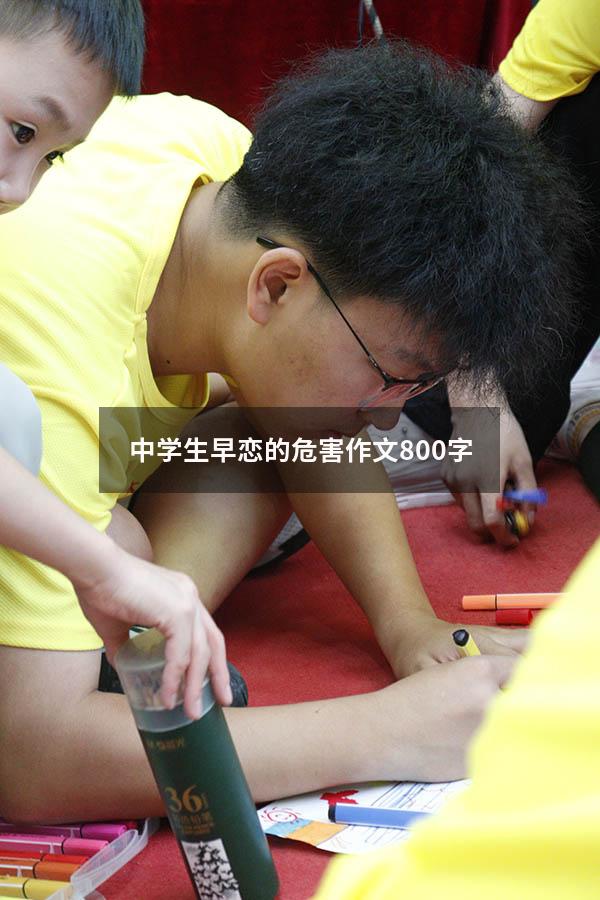 中学生早恋的危害作文800字