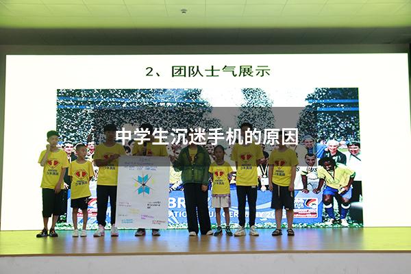 中学生沉迷手机的原因