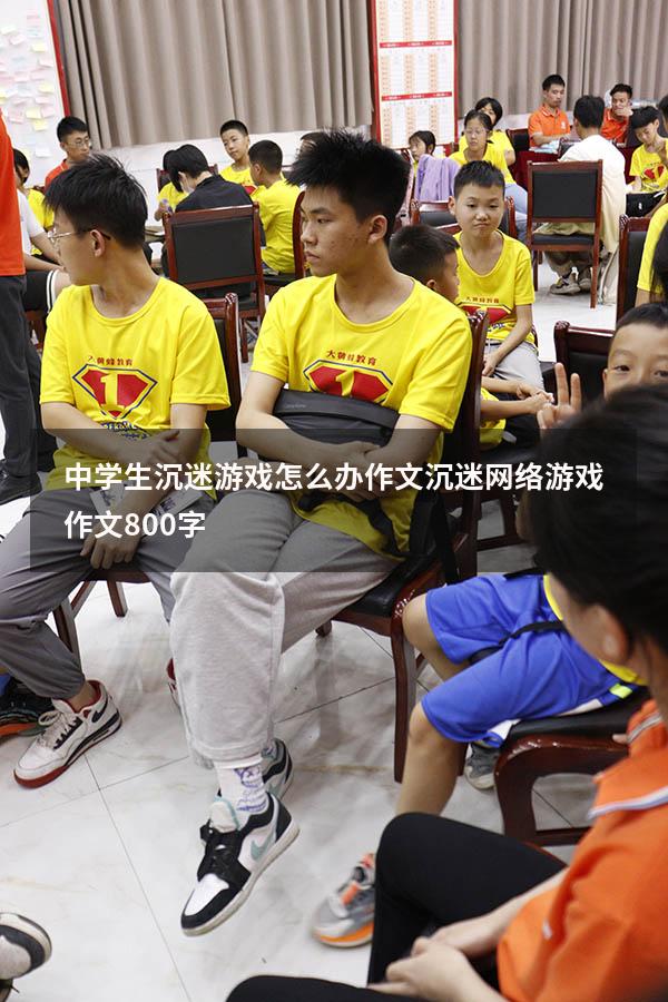 中学生沉迷游戏怎么办作文（沉迷网络游戏作文800字）
