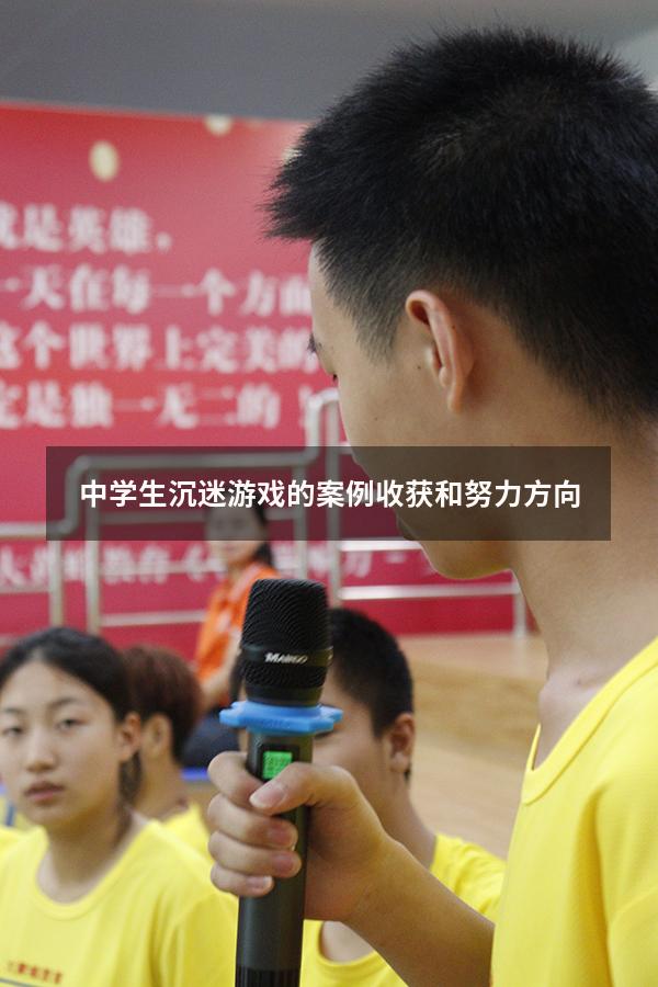 中学生沉迷游戏的案例收获和努力方向