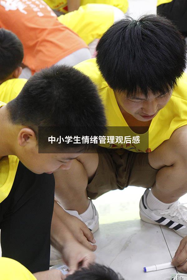 中小学生情绪管理观后感