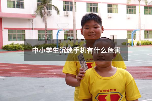 中小学生沉迷手机有什么危害