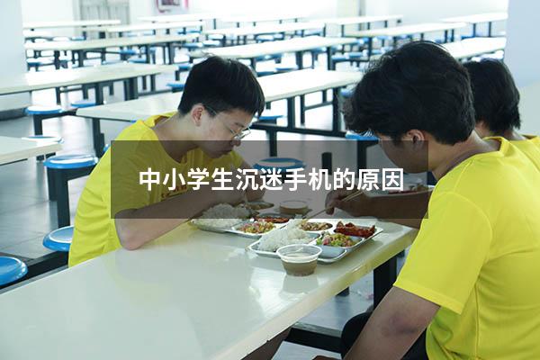 中小学生沉迷手机的原因