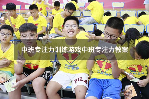 中班专注力训练游戏（中班专注力教案）