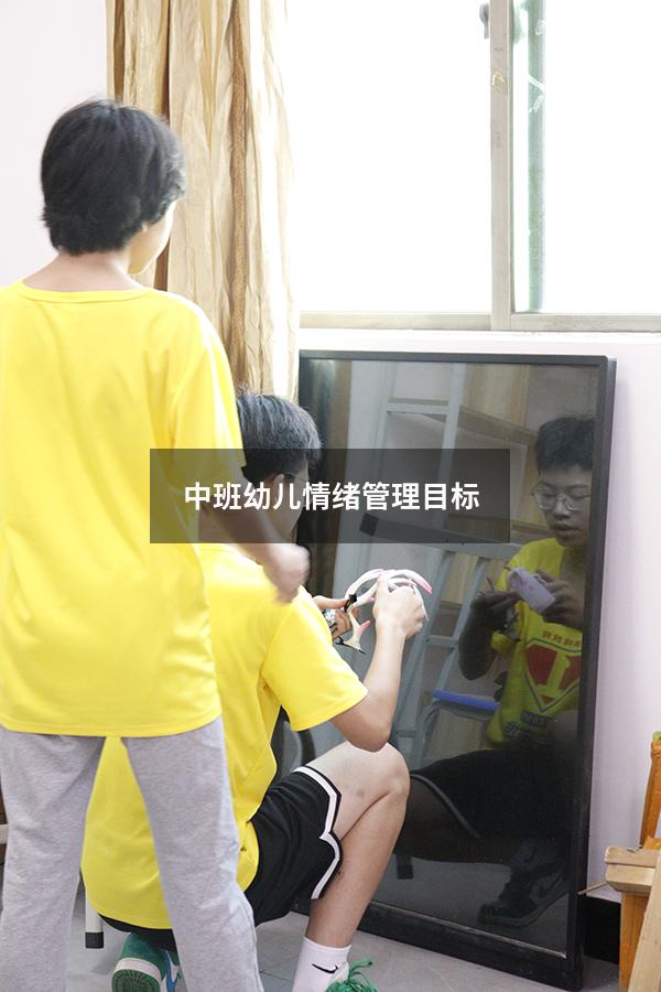 中班幼儿情绪管理目标