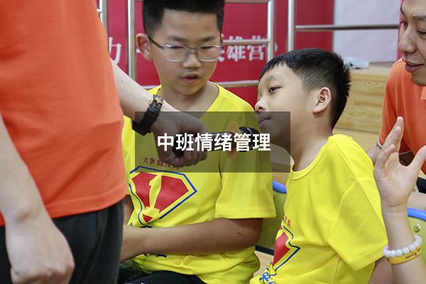 中班情绪管理