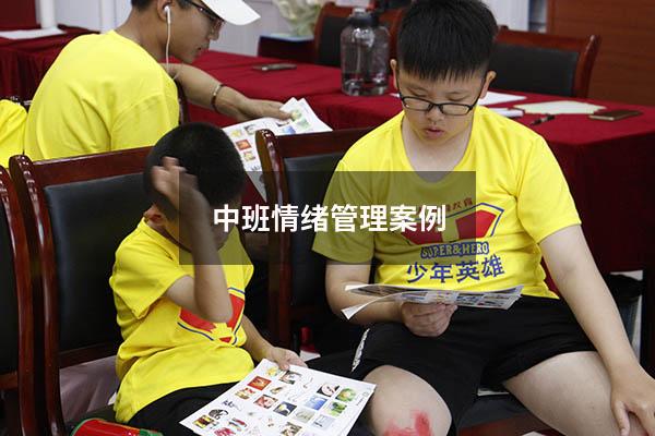 中班情绪管理案例