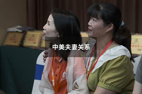 中美夫妻关系
