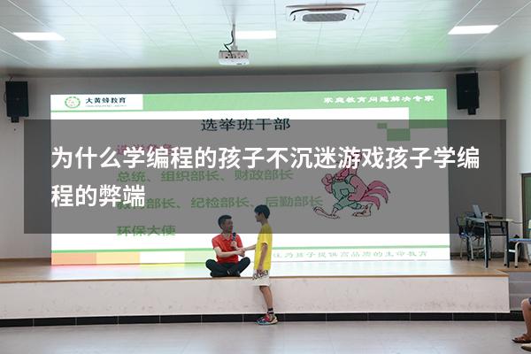 为什么学编程的孩子不沉迷游戏（孩子学编程的弊端）