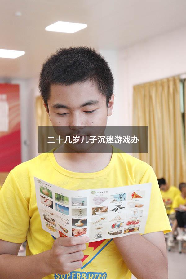 二十几岁儿子沉迷游戏办