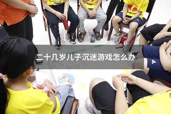 二十几岁儿子沉迷游戏怎么办