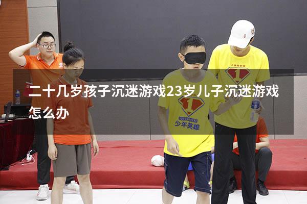 二十几岁孩子沉迷游戏（23岁儿子沉迷游戏怎么办）