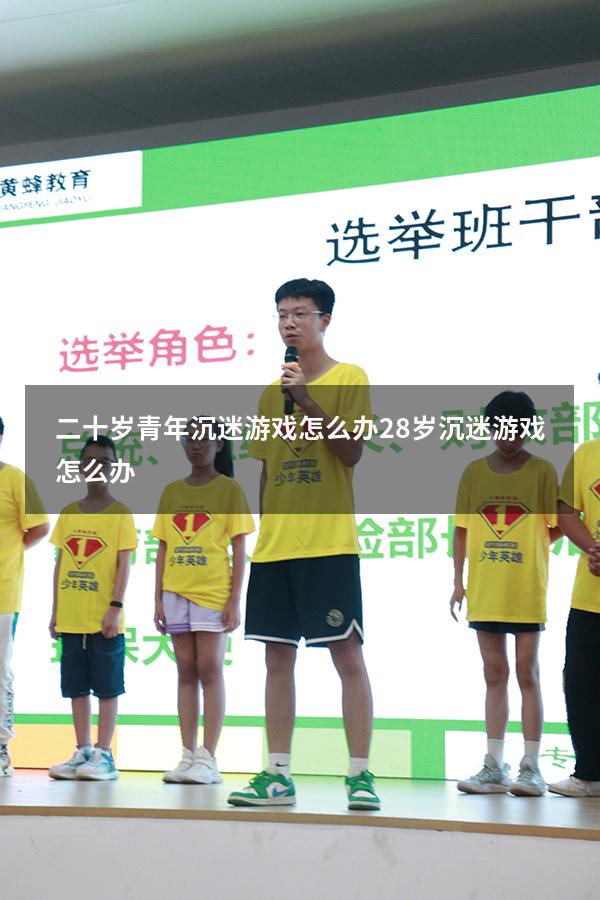 二十岁青年沉迷游戏怎么办（28岁沉迷游戏怎么办）