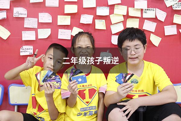二年级孩子叛逆