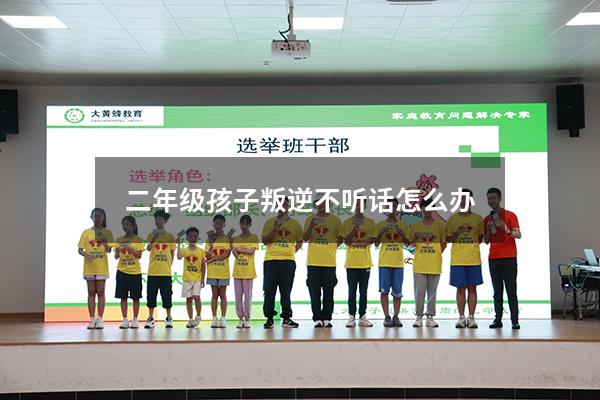 二年级孩子叛逆不听话怎么办
