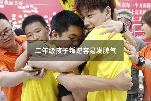 二年级孩子叛逆容易发脾气
