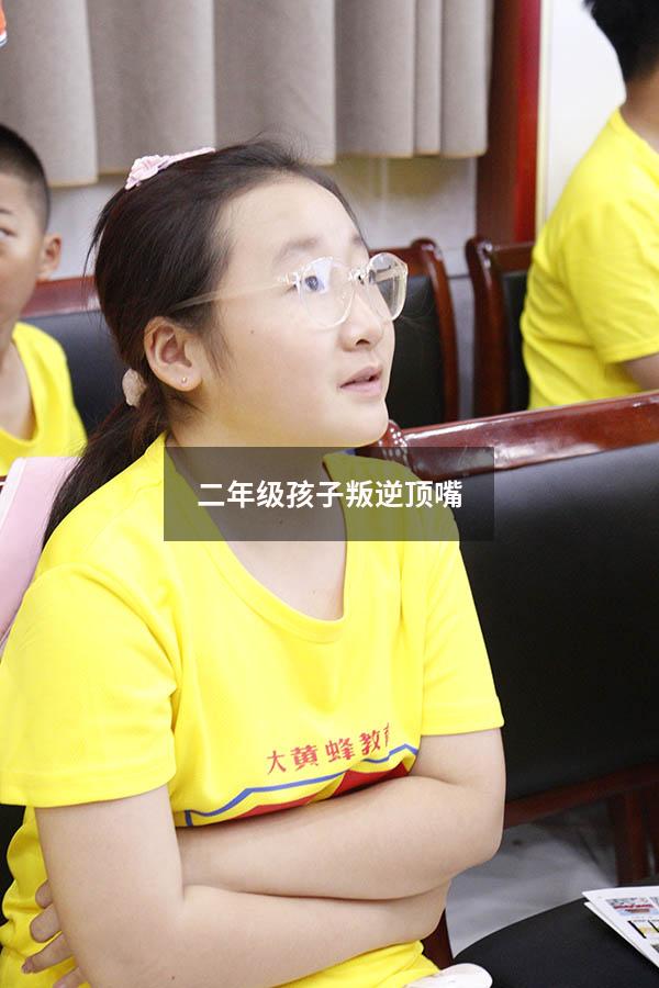 二年级孩子叛逆顶嘴