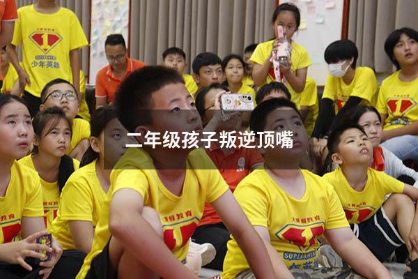 二年级孩子叛逆顶嘴5871