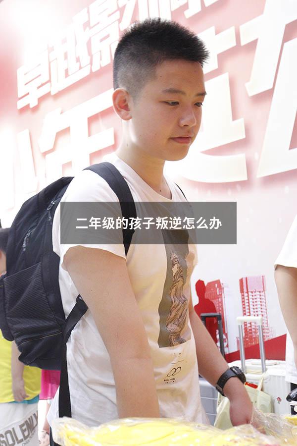 二年级的孩子叛逆怎么办
