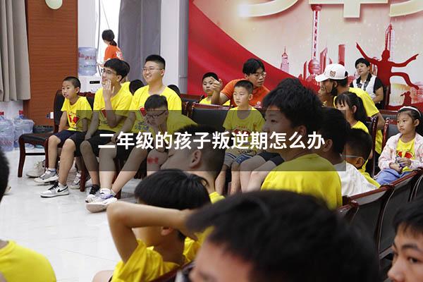 二年级的孩子叛逆期怎么办