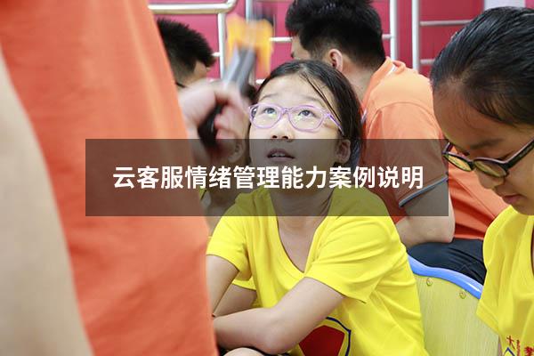 云客服情绪管理能力案例说明