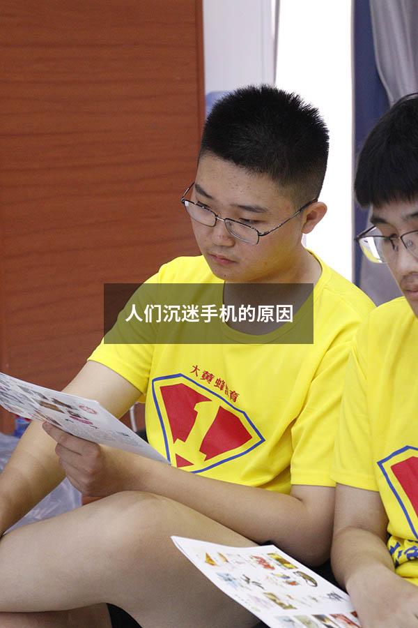 人们沉迷手机的原因