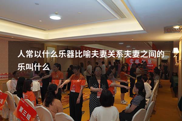 人常以什么乐器比喻夫妻关系（夫妻之间的乐叫什么）