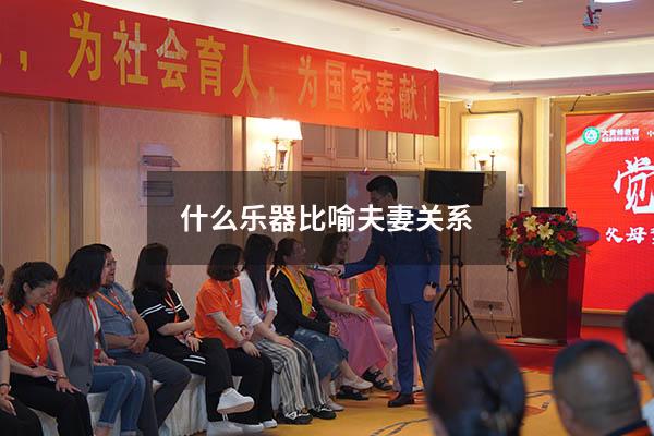 什么乐器比喻夫妻关系