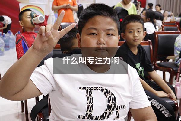 什么叫专注力啊