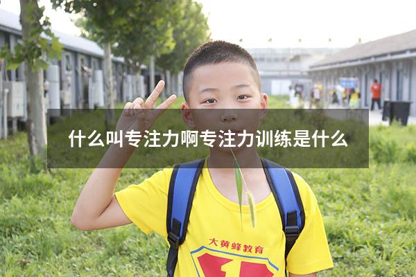 什么叫专注力啊（专注力训练是什么）