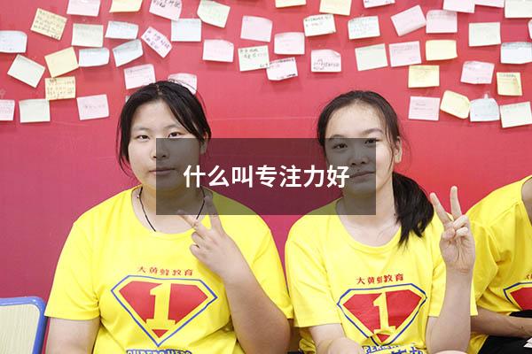 什么叫专注力好