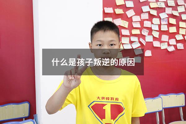 什么是孩子叛逆的原因