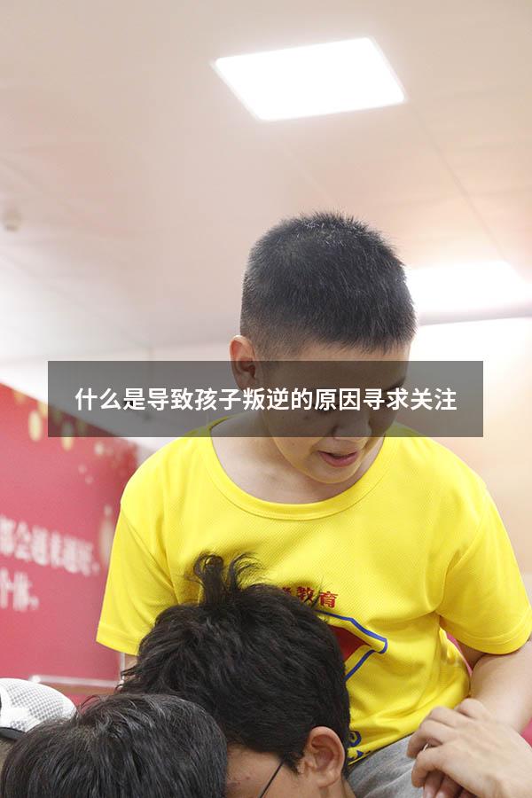 什么是导致孩子叛逆的原因寻求关注
