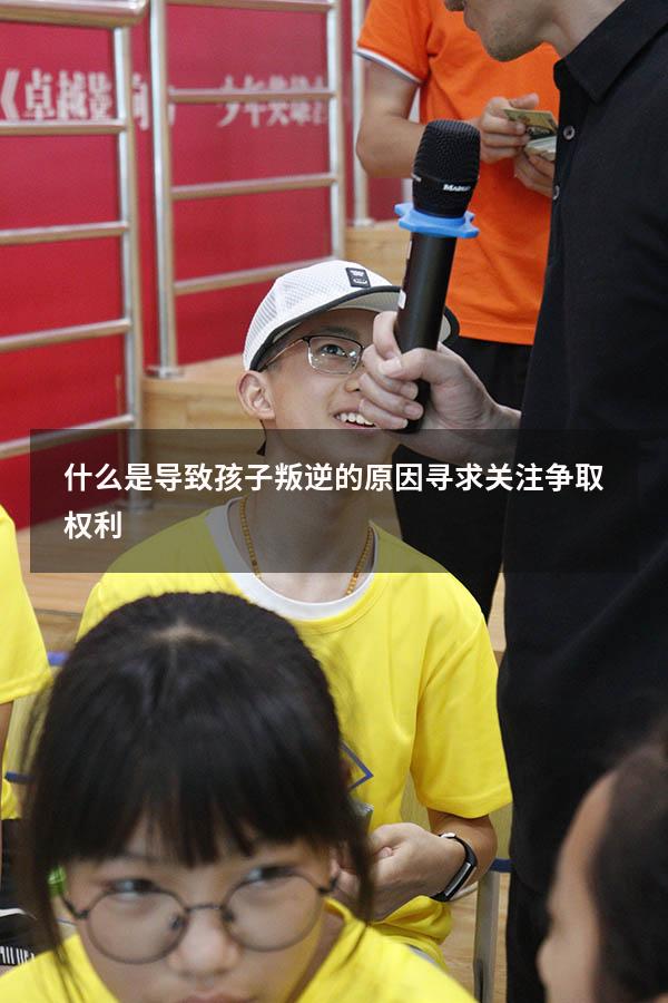 什么是导致孩子叛逆的原因寻求关注争取权利2239