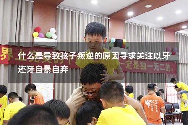 什么是导致孩子叛逆的原因寻求关注以牙还牙自暴自弃