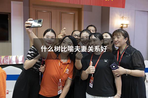 什么树比喻夫妻关系好