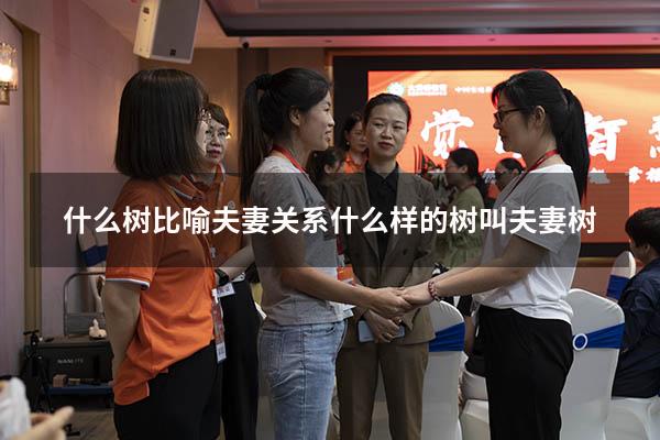 什么树比喻夫妻关系（什么样的树叫夫妻树）