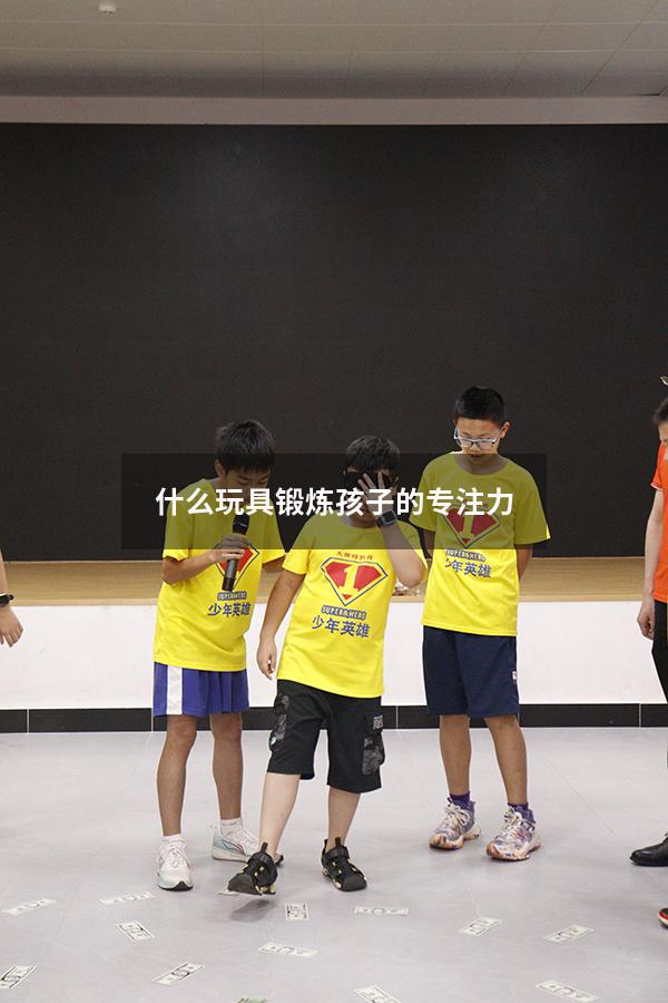 什么玩具锻炼孩子的专注力