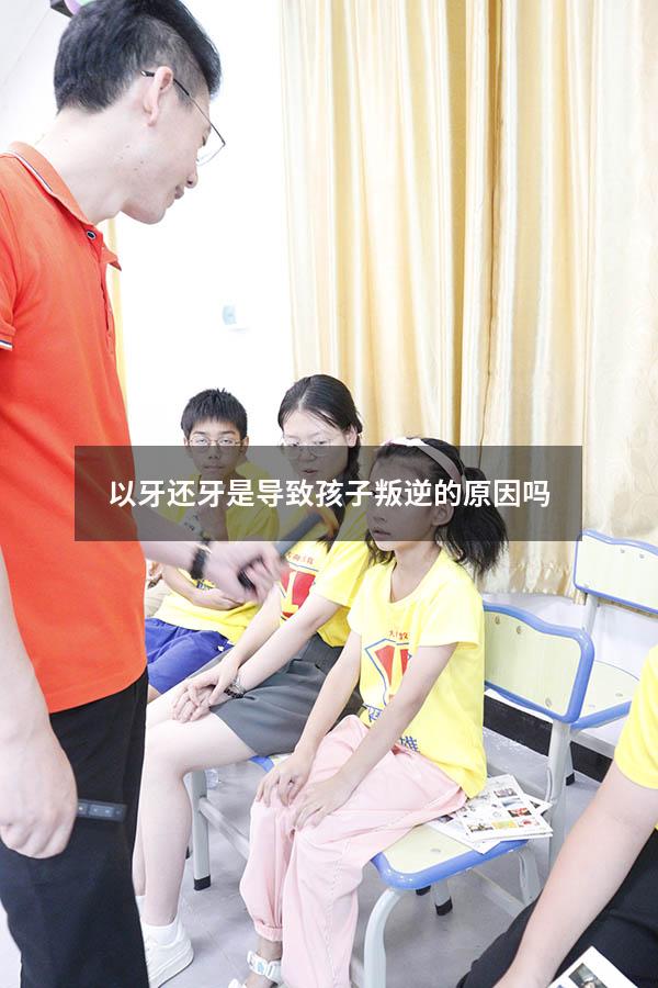 以牙还牙是导致孩子叛逆的原因吗