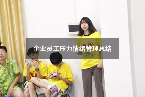 企业员工压力情绪管理总结