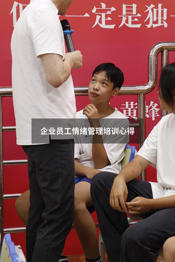 企业员工情绪管理培训心得