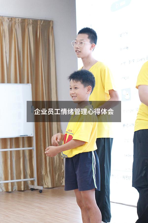 企业员工情绪管理心得体会