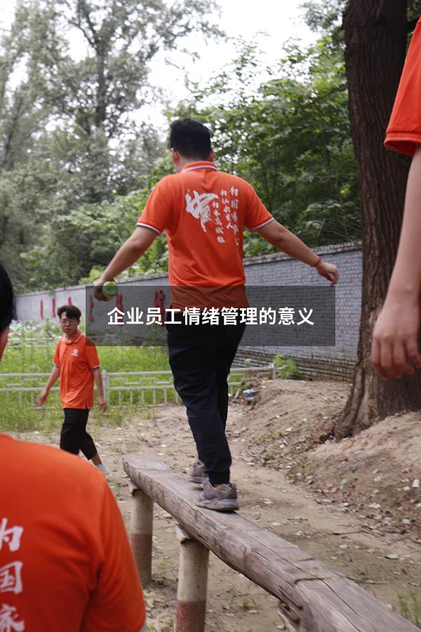 企业员工情绪管理的意义