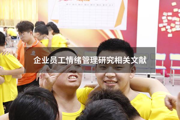 企业员工情绪管理研究相关文献