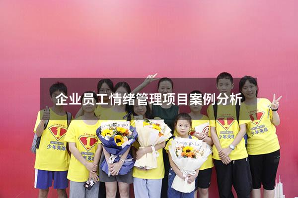 企业员工情绪管理项目案例分析