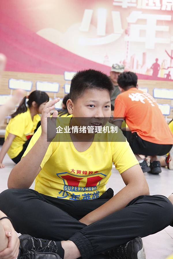 企业情绪管理机制