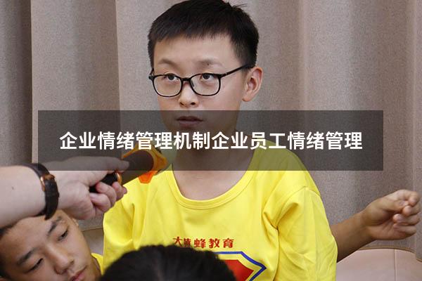企业情绪管理机制（企业员工情绪管理）