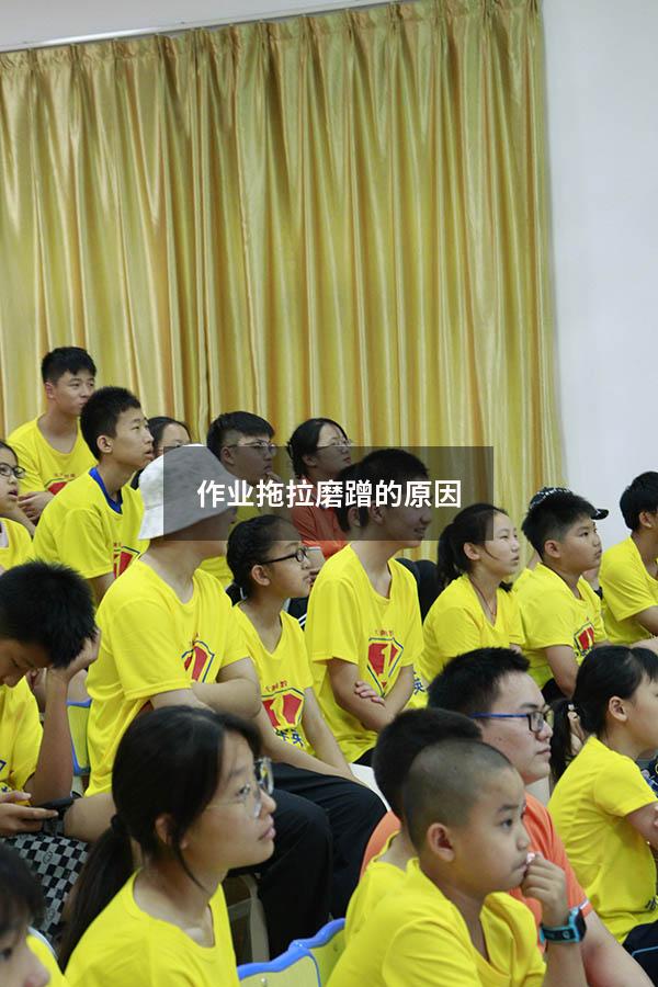 作业拖拉磨蹭的原因（拖拉磨蹭的心理原因）